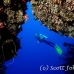 swimthru_cc_h_0705_png1685.jpg